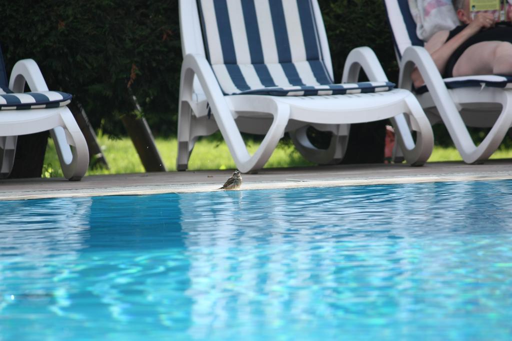 Residence Val Di Monte مالتشيزينيه المظهر الخارجي الصورة